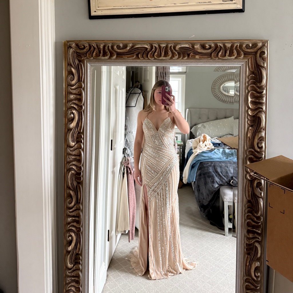 Elegant Beige Beaded Gown